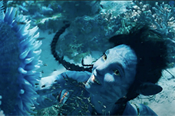 Avatar: watch the new trailer for the upcoming 4K HDR re-release