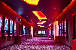 Cineworlders share what they miss the most about the big screen experience