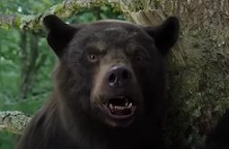 Cocaine Bear: watch the trailer for 2023's craziest comedy